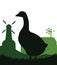 Goose Pasture on meadow.. Rural landscape. Scenery silhouette. Near farmer buildings. Agricultural farm bird. Object