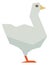Goose polygonal icon. Farm water bird with white feathers