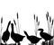 Goose and reeds silhouettes