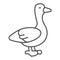Goose thin line icon, domestic animals concept, poultry bird sign on white background, silhouette of a goose icon in