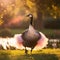 Goose in a tutu in a park. Ai generated.