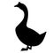 Goose vector illustration , black silhouette , profile