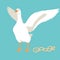 Goose vector illustration flat style front side