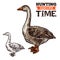 Goose wild bird sketch for hunting sport design