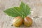 Gooseberries with leaf