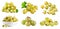 Gooseberry gooseberries fruit, many angles and view side top front cluster stalk group cut isolated on transparent, PNG