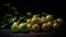 Gooseberry and Raw Amla Fruit on Dark Background, AI Generated