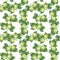 Gooseberry seamless pattern