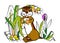 Gopher, funny cartoon animals,coloring book