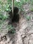 Gopher hole