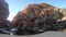 GoPro Landscape view of Ormiston Gorge Water Hole in West MacDonnell National Park Northern Territory of Australia 01