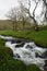 Gordale Beck near Gordale scar and Janets Foss, Yorkshire UK