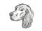 Gordon Setter Dog Breed Cartoon Retro Drawing