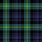 Gordon tartan fabric texture plaid pattern seamless