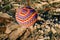 Goreme, Turkey - June 14, 2019: Travelers and tourists flying over mountains at sunset in a colorful aerostat balloon in Goreme,