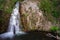 Gorg Negre (black pool). Riells del Montseny, Spain.