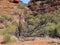 The Gorge of the Australian Kings Canyon