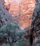 Gorge in the Bungle Bungles Western Australia