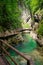 Gorge with a green river and wooden bridges