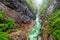 Gorge Lammerklamm in Salzkammergut region,Austria,Europe