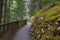 Gorge overlook Trail at North Cascades National Park in Washington State during Spring