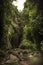 Gorge with rocky vaults covered with lush foliage plants nearby beautiful Bali waterfall Sekumpul in tropical forest on Bali Indon