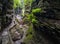 The Gorge Trail in Watkins Glen State Park