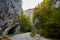 Gorge Zarnestiului Prapastiei in Carpathian Mountains, Zarnesti, Romania. Nature preserve Piatra Craiului National Park. The
