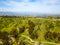 Gorgeous aerial shot of lush green hills in the city of Los Angeles around Kenneth Hahn Park with blue sky