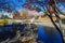 A gorgeous autumn landscape in the park with a still green lake and a water fountain in the center of the lake