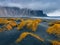 Gorgeous autumn  view of black sand dunes with yellow grass on top. Gloomy morning view of Stokksnes cape with Vestrahorn Batman