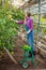 Gorgeous beautiful cheerful girl harvesting lemons from greenhouse