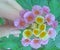 Gorgeous  Beauty Pink and Gold Lantana Flowers