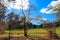 A gorgeous blossoming spring landscape in the garden with lush green grass and colorful daffodil flowers with bare winter trees