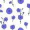 Gorgeous botanical seamless pattern with blooming purple chicory flower heads and buds hand drawn in vintage style