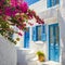 A gorgeous bougainvellia on e white house wall with blue windows and door