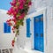 A gorgeous bougainvellia on e white house wall with blue windows and door