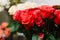 Gorgeous bouquet of bright red roses