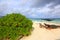 Gorgeous coast of island in Indian Ocean. White sand beach with green plants and sun loungers.