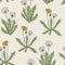 Gorgeous colored botanical seamless pattern with blooming dandelion plants, yellow flowers, seed heads and leaves hand