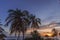 Gorgeous colorful view of sunset on Curacao island. Gorgeous view of green palm trees on blue sky background.