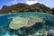 Gorgeous Coral Reef and Island in Raja Ampat