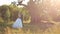 Gorgeous elegant happy bride and stylish groom on the background of beautiful sunset in the forest