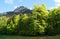 gorgeous emerald-green lake Alpsee in the German Alps in Hohenschwangau on fine spring day in May, Allgau, Bavaria, Germany