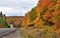 Gorgeous fall sugar maple trees seen travelling along the highway