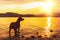 Gorgeous family pet dog on a beach at sunset. Vizsla puppy on summer vacation exploring the sea.