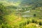 gorgeous farm fields, rice paddy terraces, Sapa, Vietnam