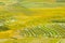 gorgeous farm fields, rice paddy terraces, Sapa, Vietnam