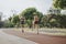 Gorgeous Female Athletes Enjoying a Workout in Nature