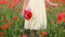 Gorgeous flowers spring bouquet in young lady hand in poppy field, romantic view